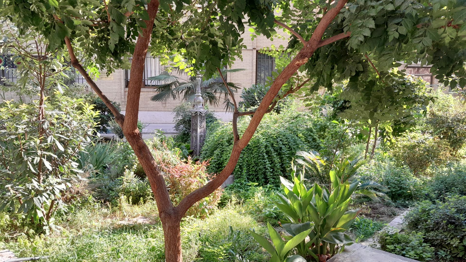 بوستان ژاپنی