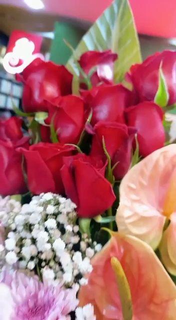 گل و گیاه علی گلی