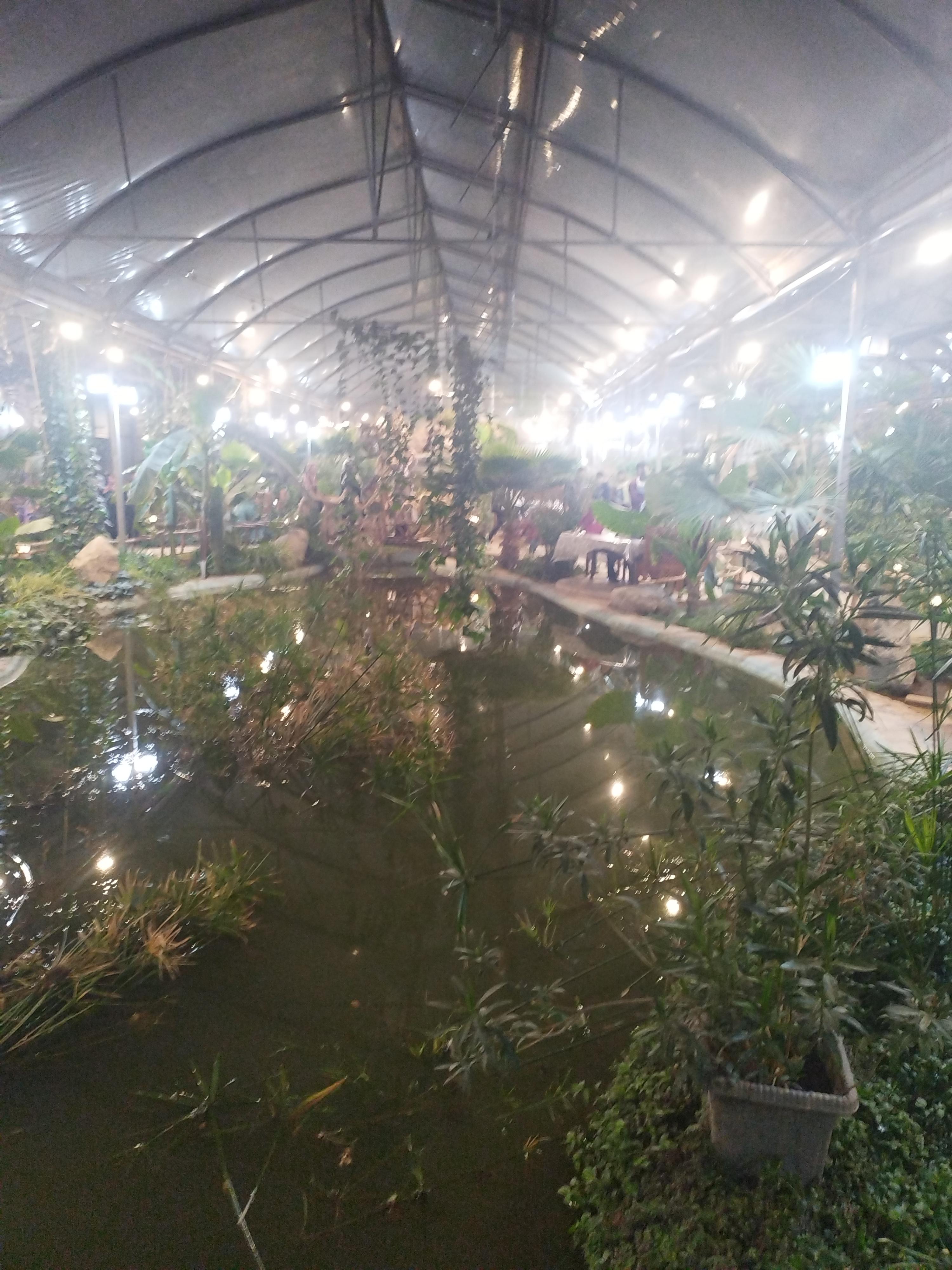 مجموعه استوایی اسپیناس