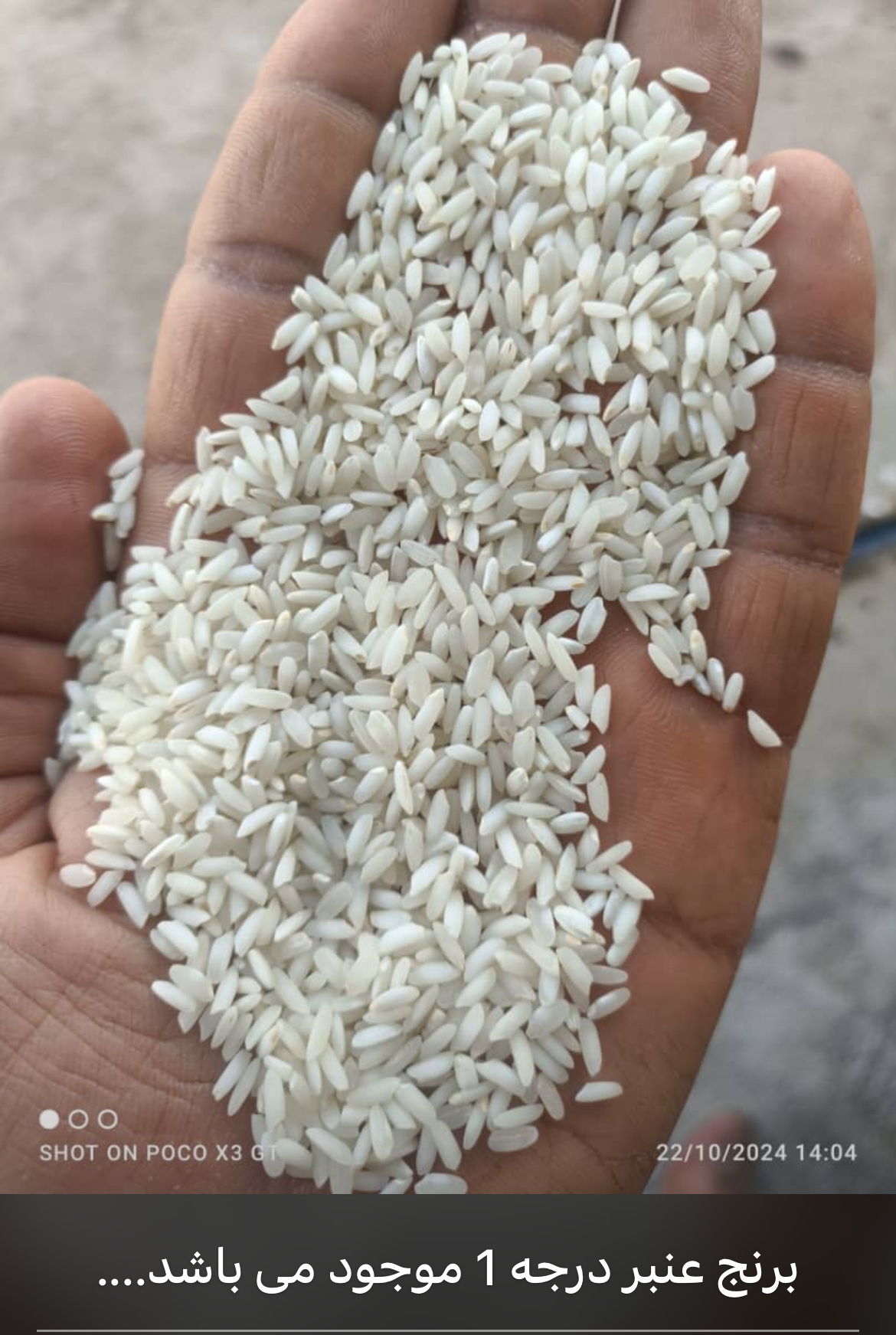 برنج عنبربو خوزستان