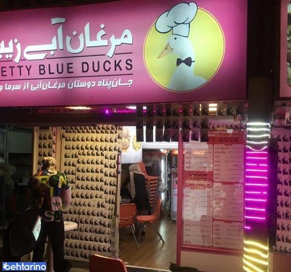 فست فود مرغابی زیبا 