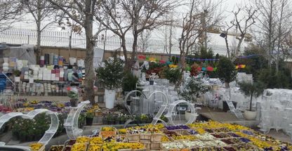 گلستان امیرعلی