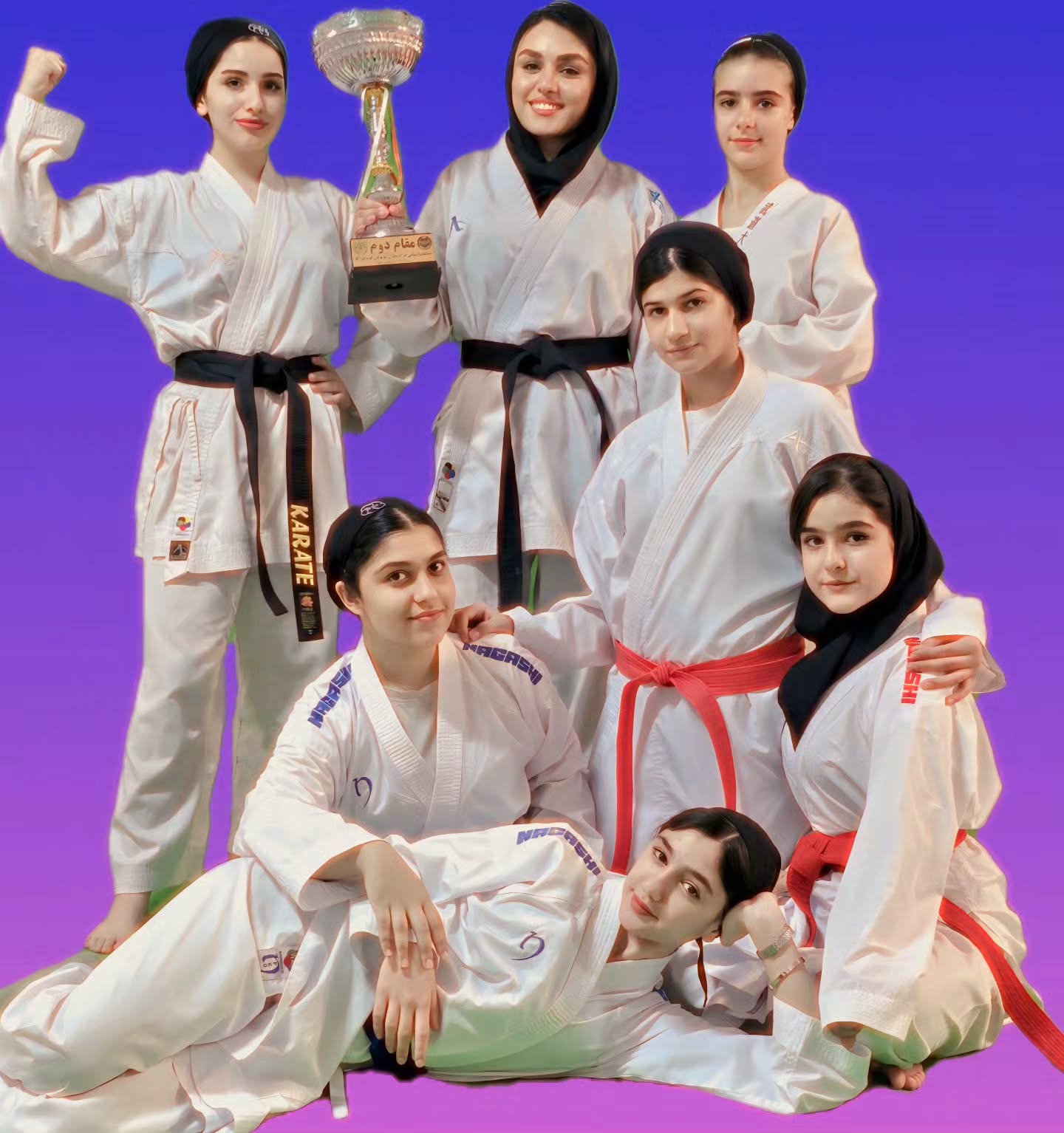 خانه نینجا سایه