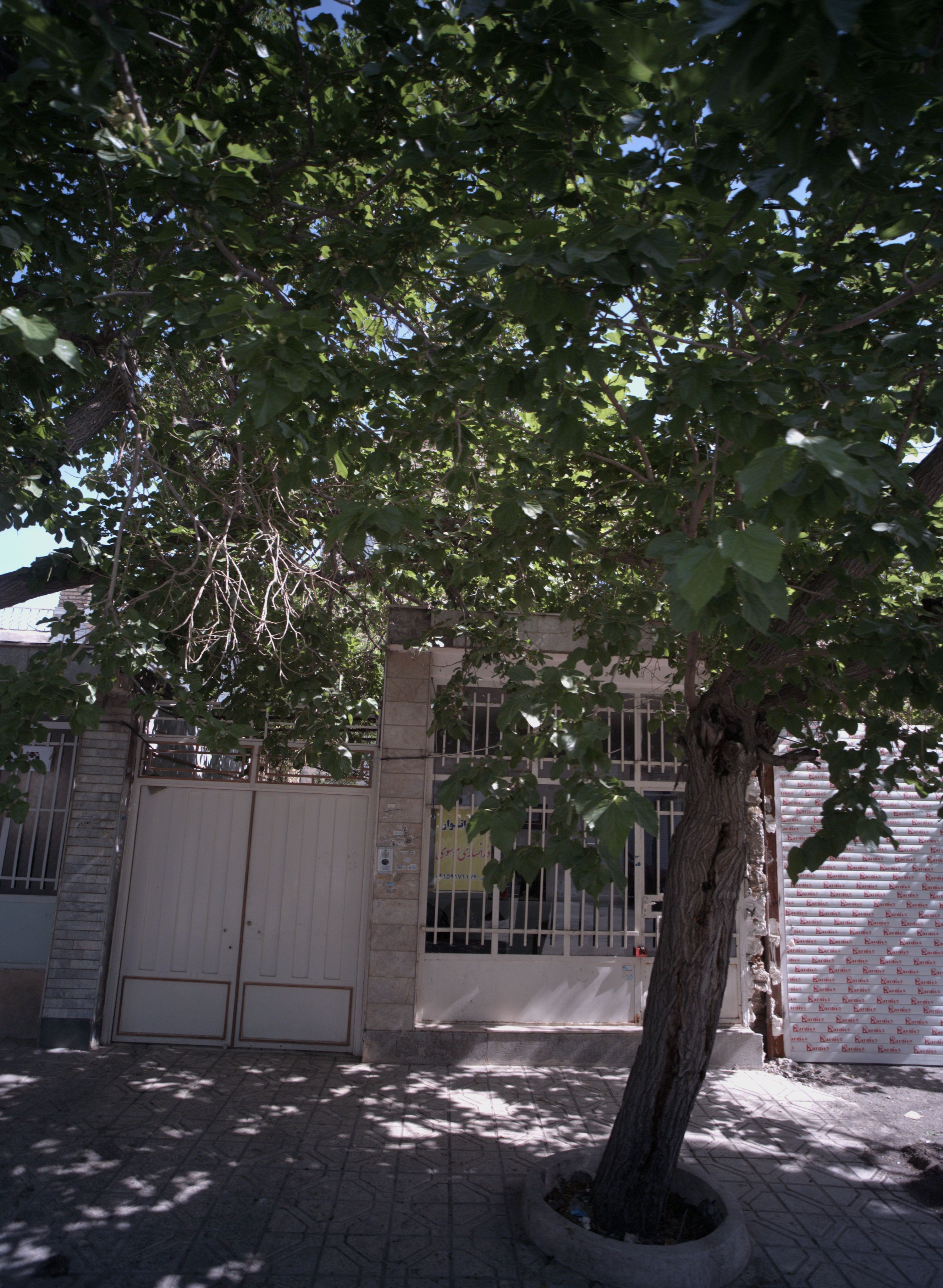 لابراتوار دندانسازی موسوی