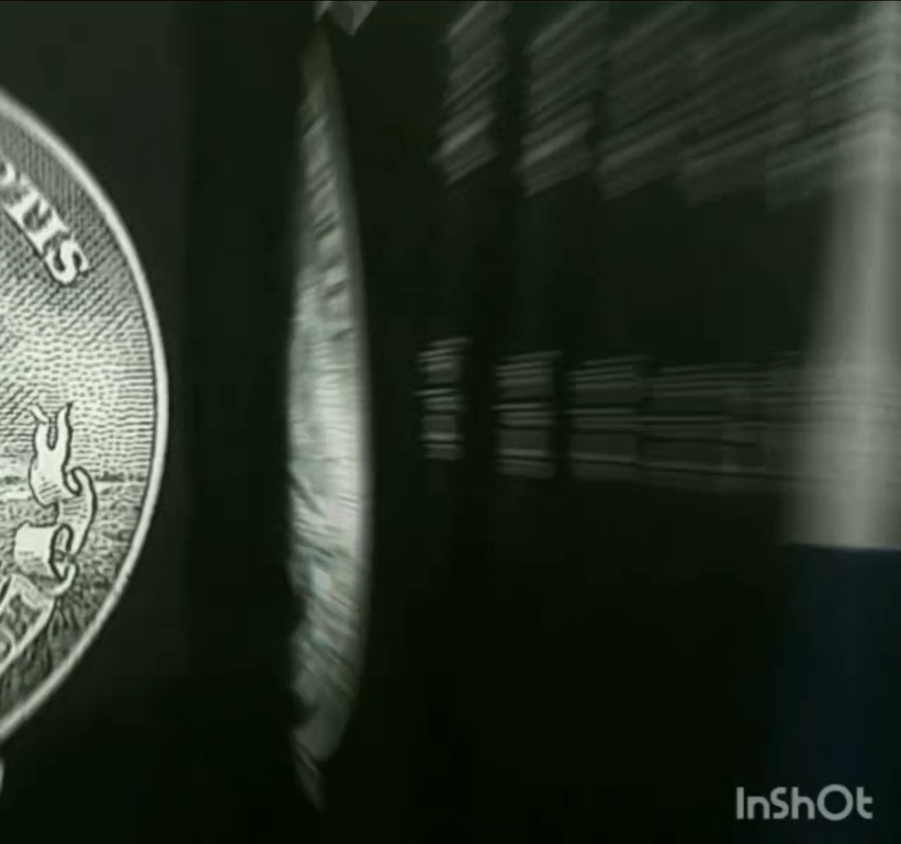 دنیای ترجمه با دردانه عابدی