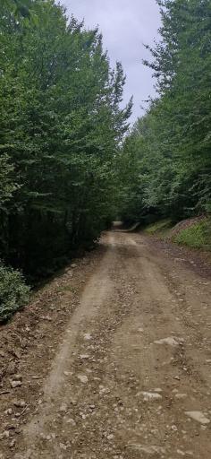 تفرجگاه بیلدیر اندبیل   خلخال