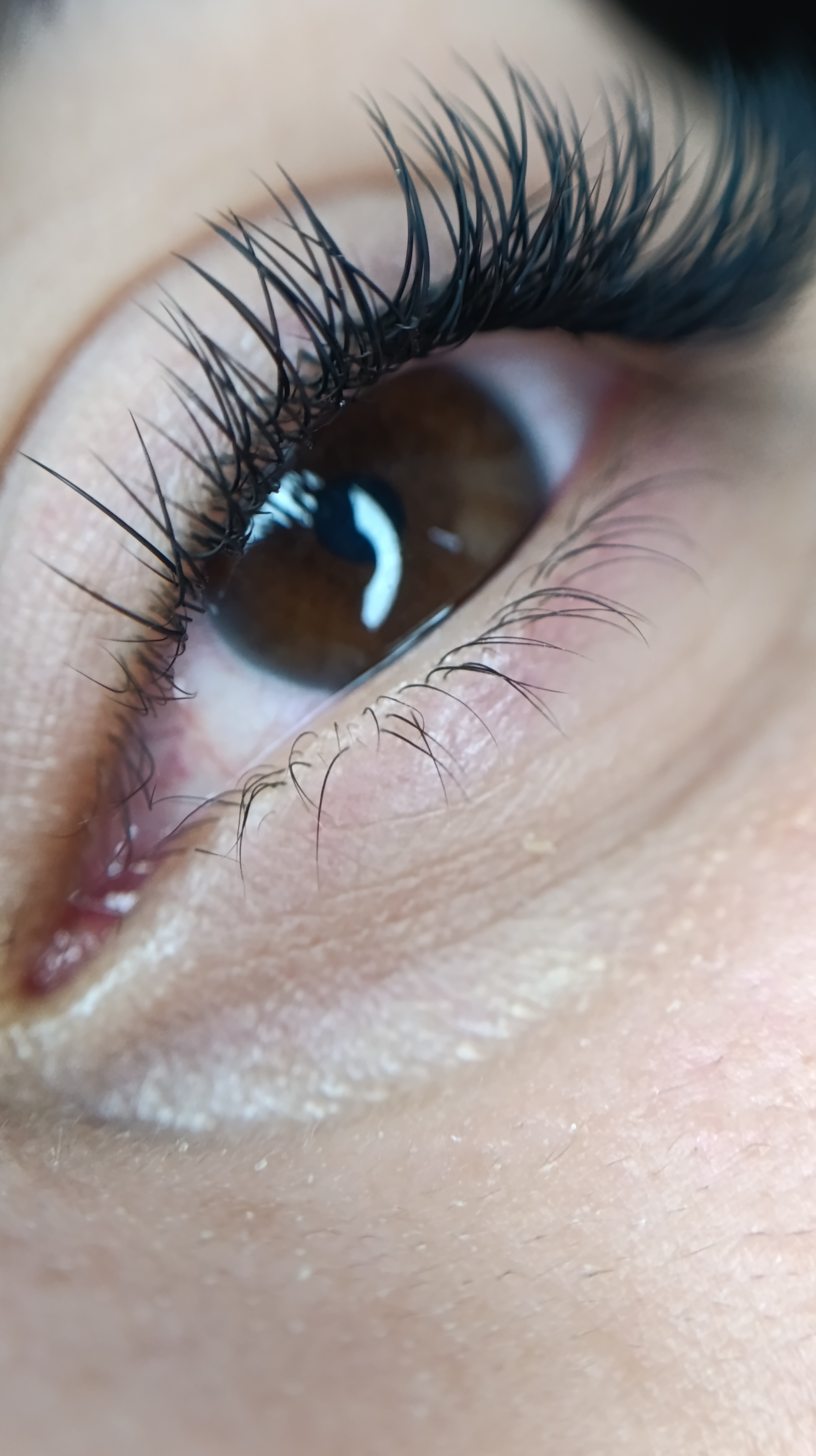 اکستنشن مژه منظم