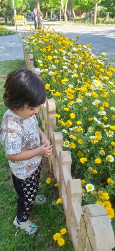 بوستان مهدی