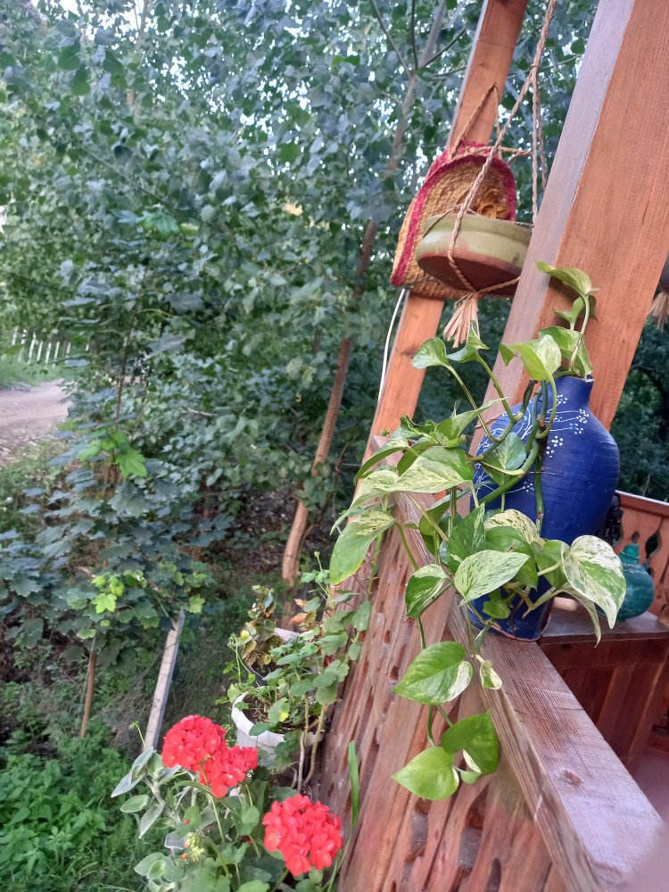 اقامتگاه بوم گردی سید آقا