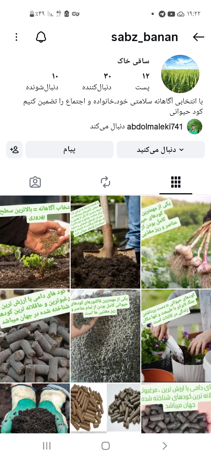 پلت مرغی سبزبانان