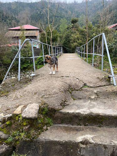 کلبه چوبی هورین