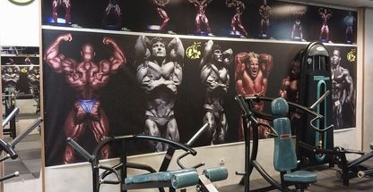 باشگاه بدنسازی فرهاد نجفی هژبر