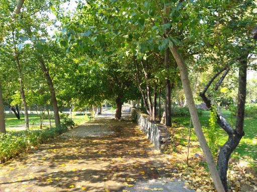 سرویس بهداشتی بوستان آرزو