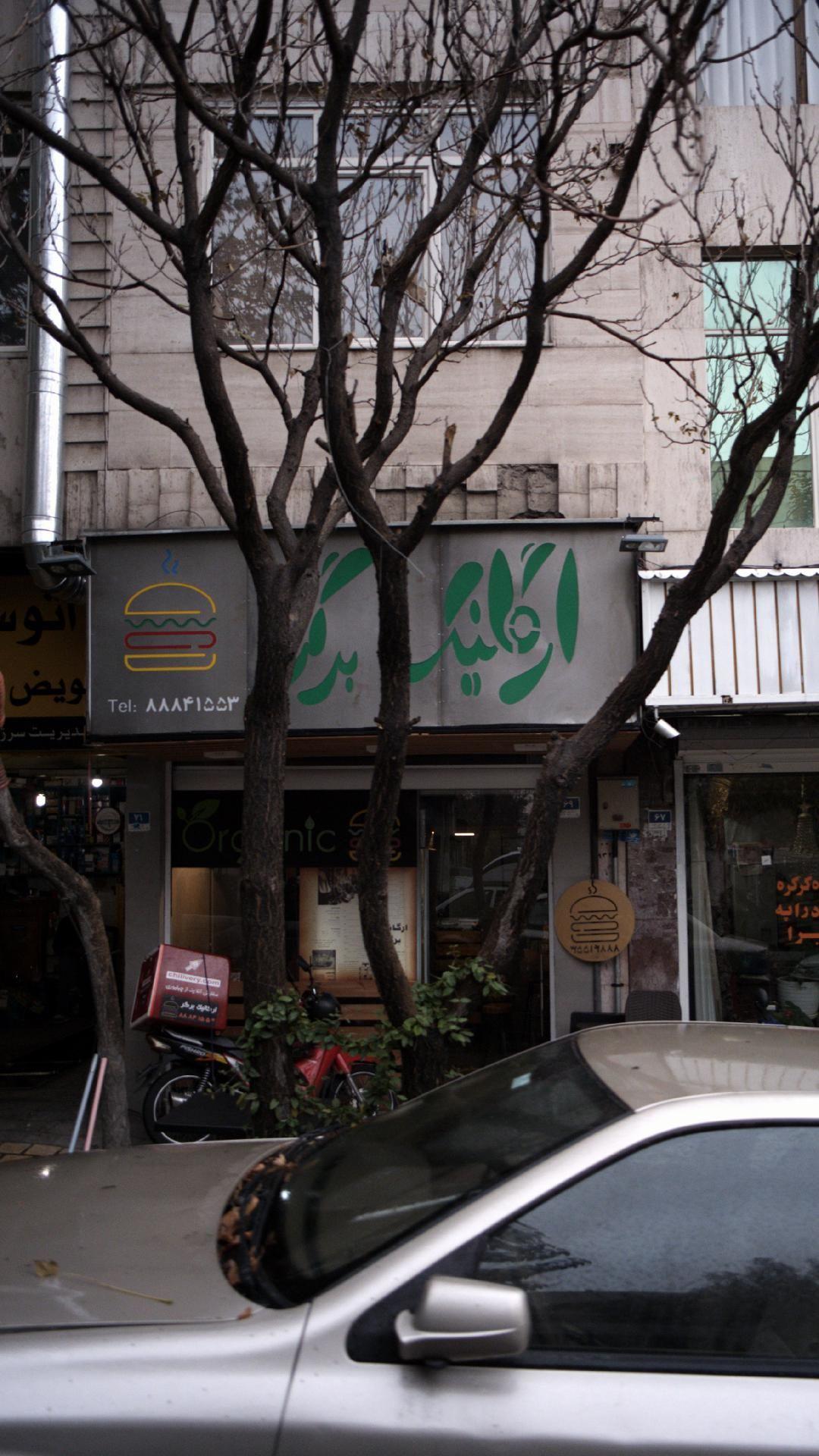 ارگانیک برگر