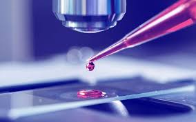 آزمایشگاه پاتوبیولوژی استادان