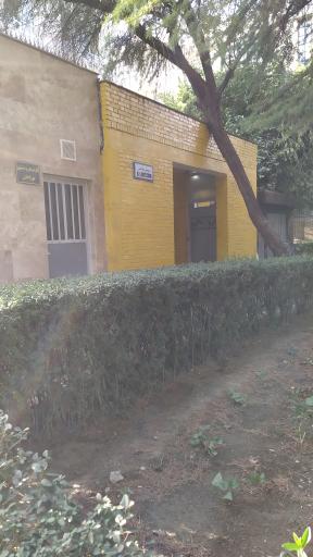 سرویس بهداشتی