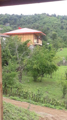 کلبه جنگلی علیدوست