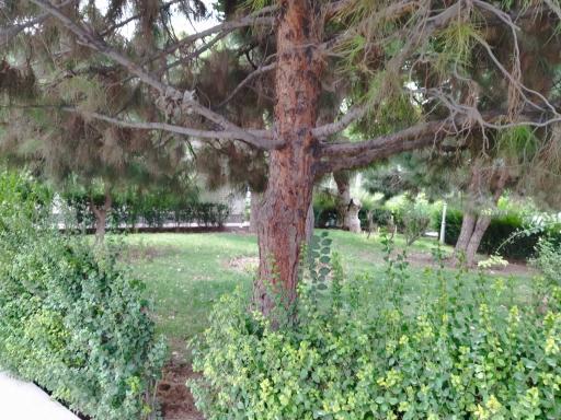 سرویس بهداشتی 2 بوستان بهاران