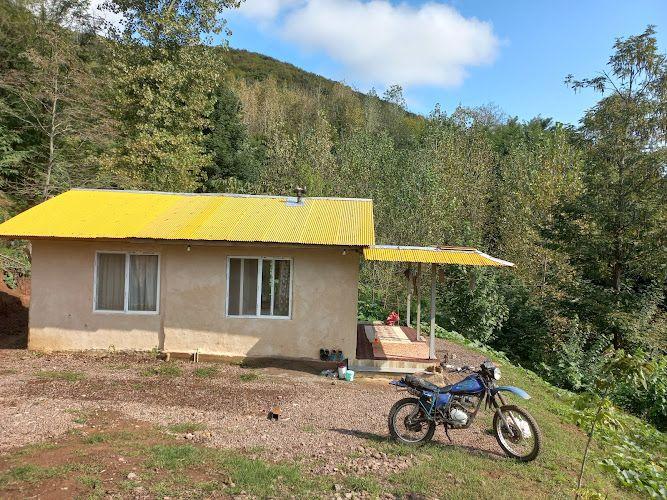 ویلای جنگلی جمشید