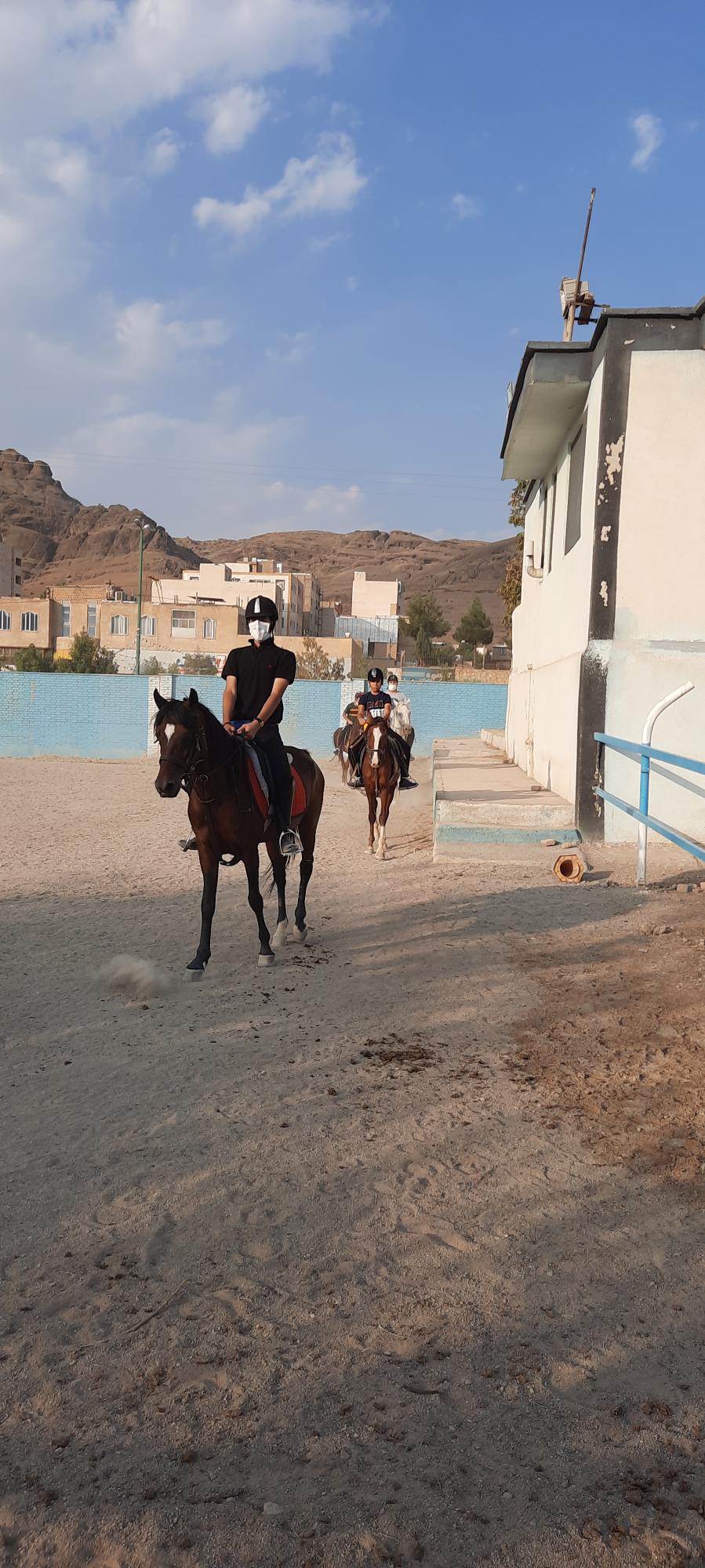 باشگاه سوارکاری ابرش