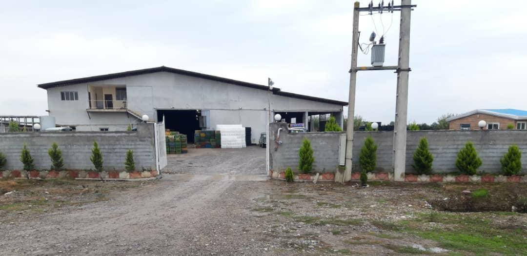 سورتینگ برادران لقمانی