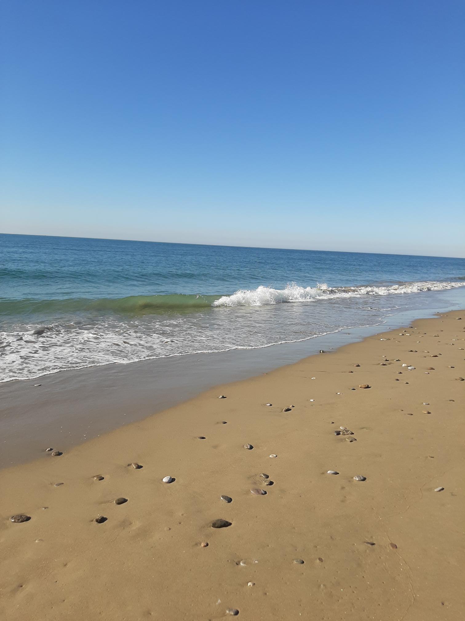 اقامتگاه بومگردی دریانورد