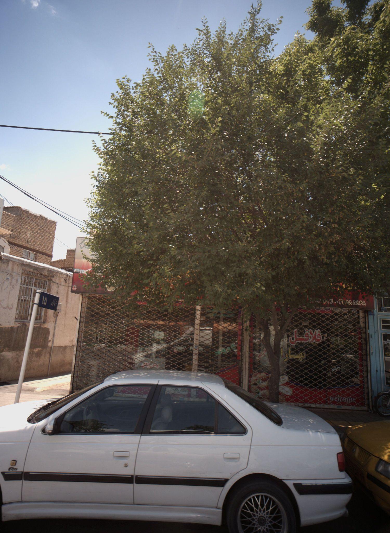اغذیه بهاران