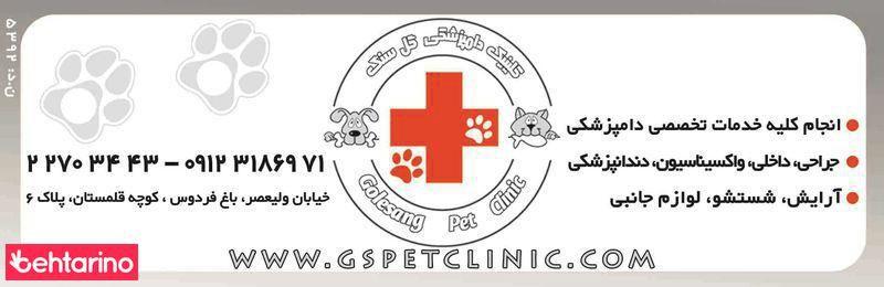 دامپزشکی گل سنگ