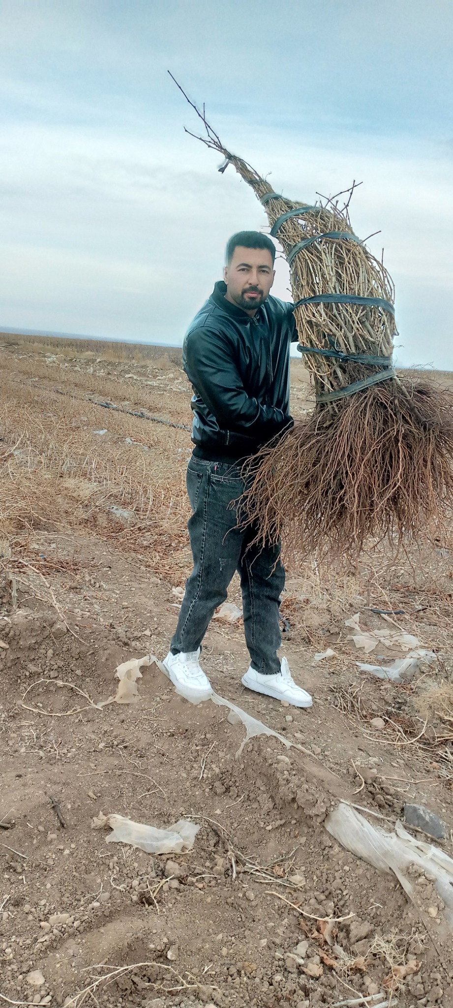 نهالستان برزگر