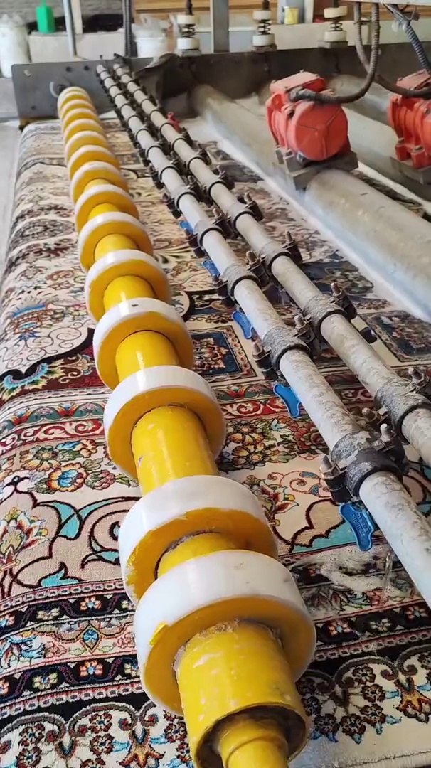 قالیشویی بیگدلی