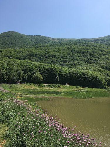 اقامتگاه بوم گردی ویستان