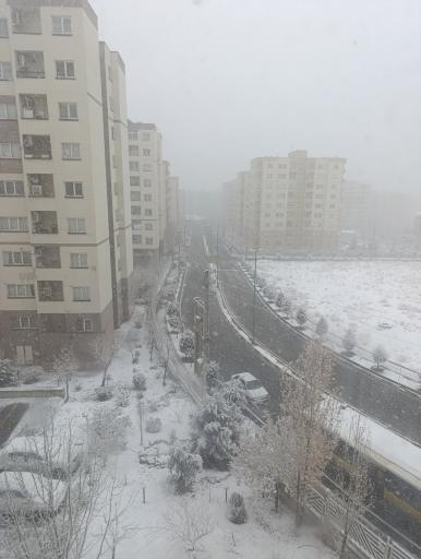 مجتمع کاج 4