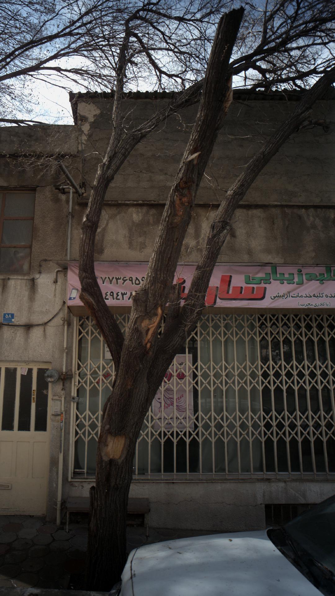 سالن زیبایی نوویا