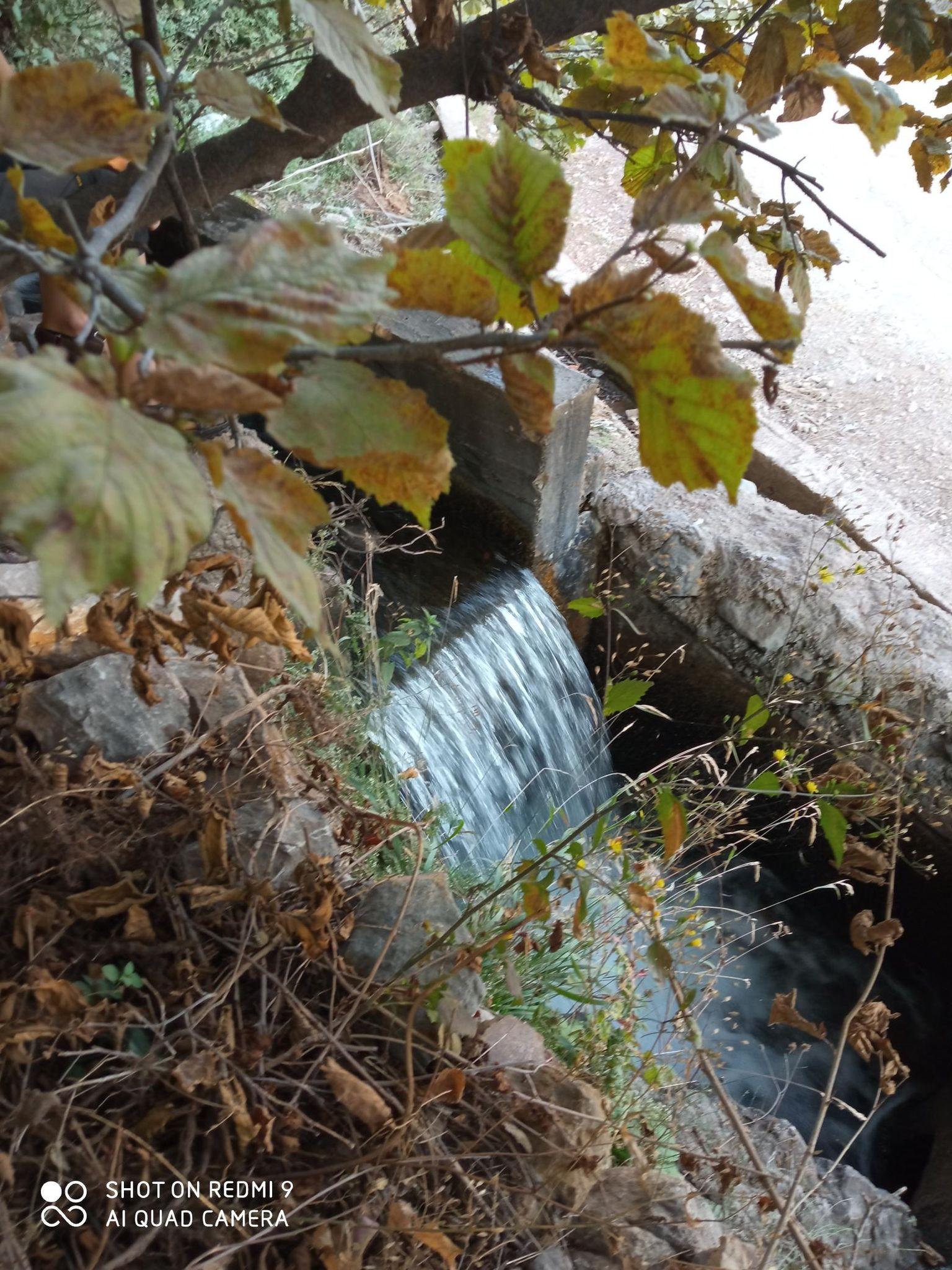 منطقه ییلاقی سفید خانی روستای تلاتر