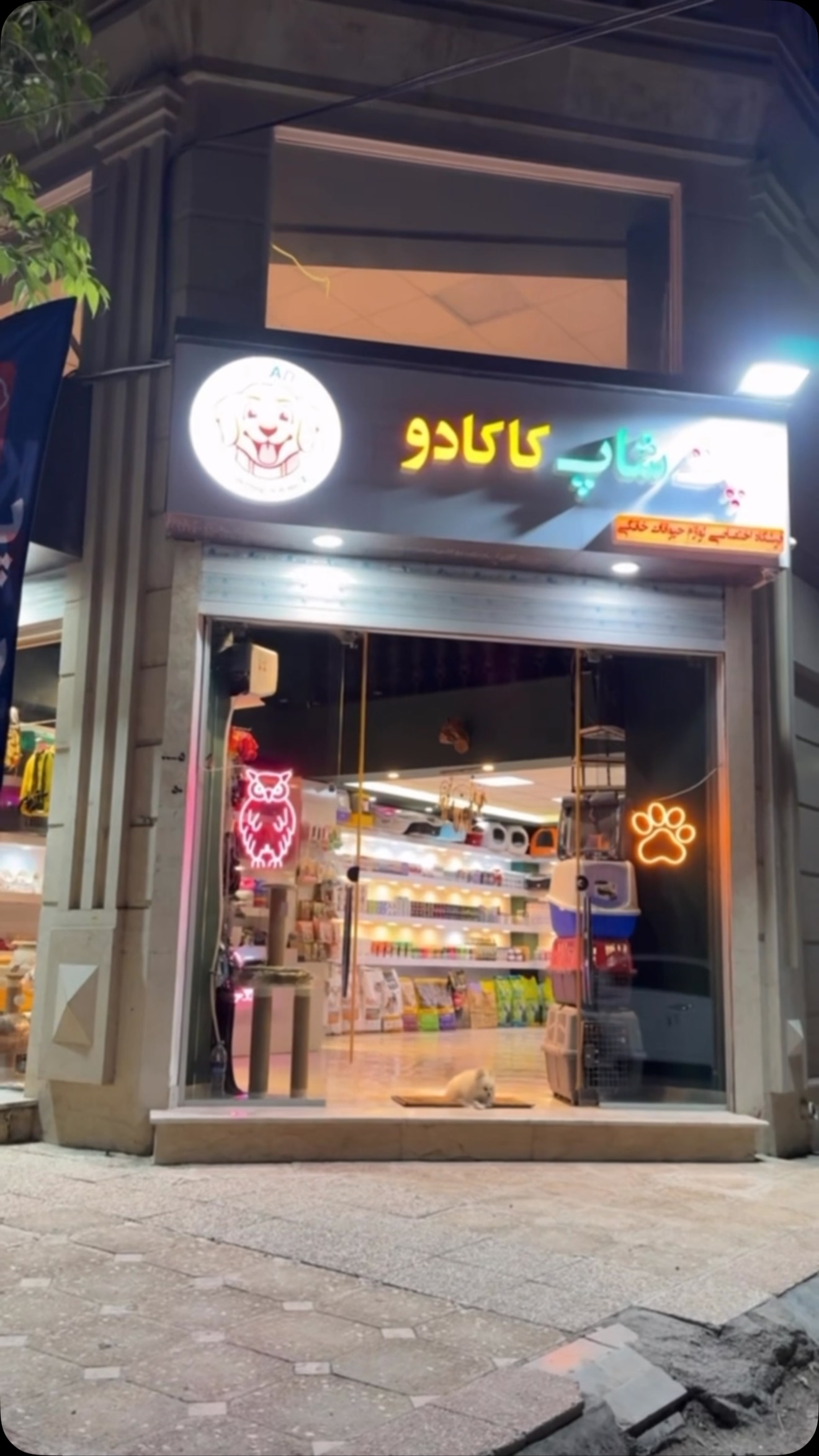 پت شاپ کاکادو