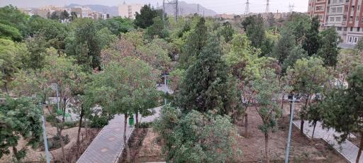 بوستان کاج