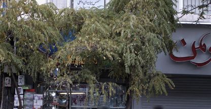 آزمایشگاه ژنتیک پزشکی دکتر زمانی