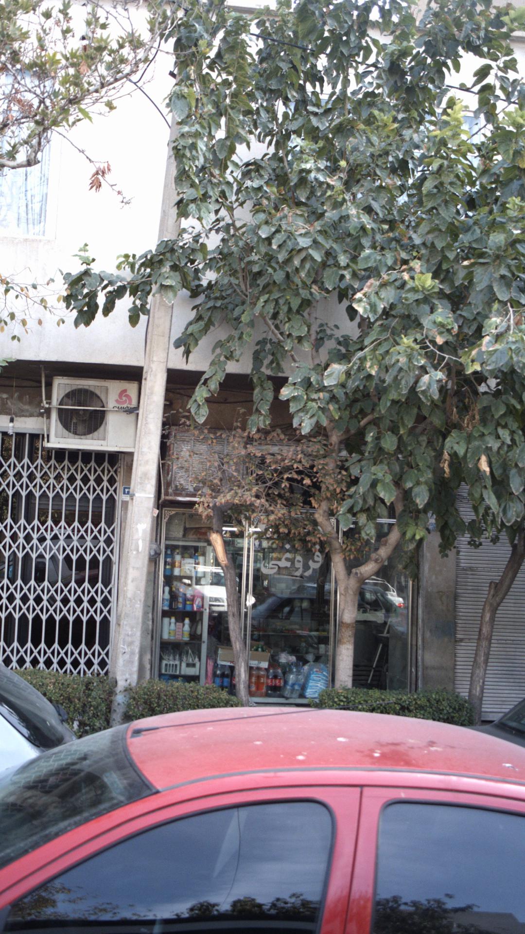 سوپرمارکت فروغی