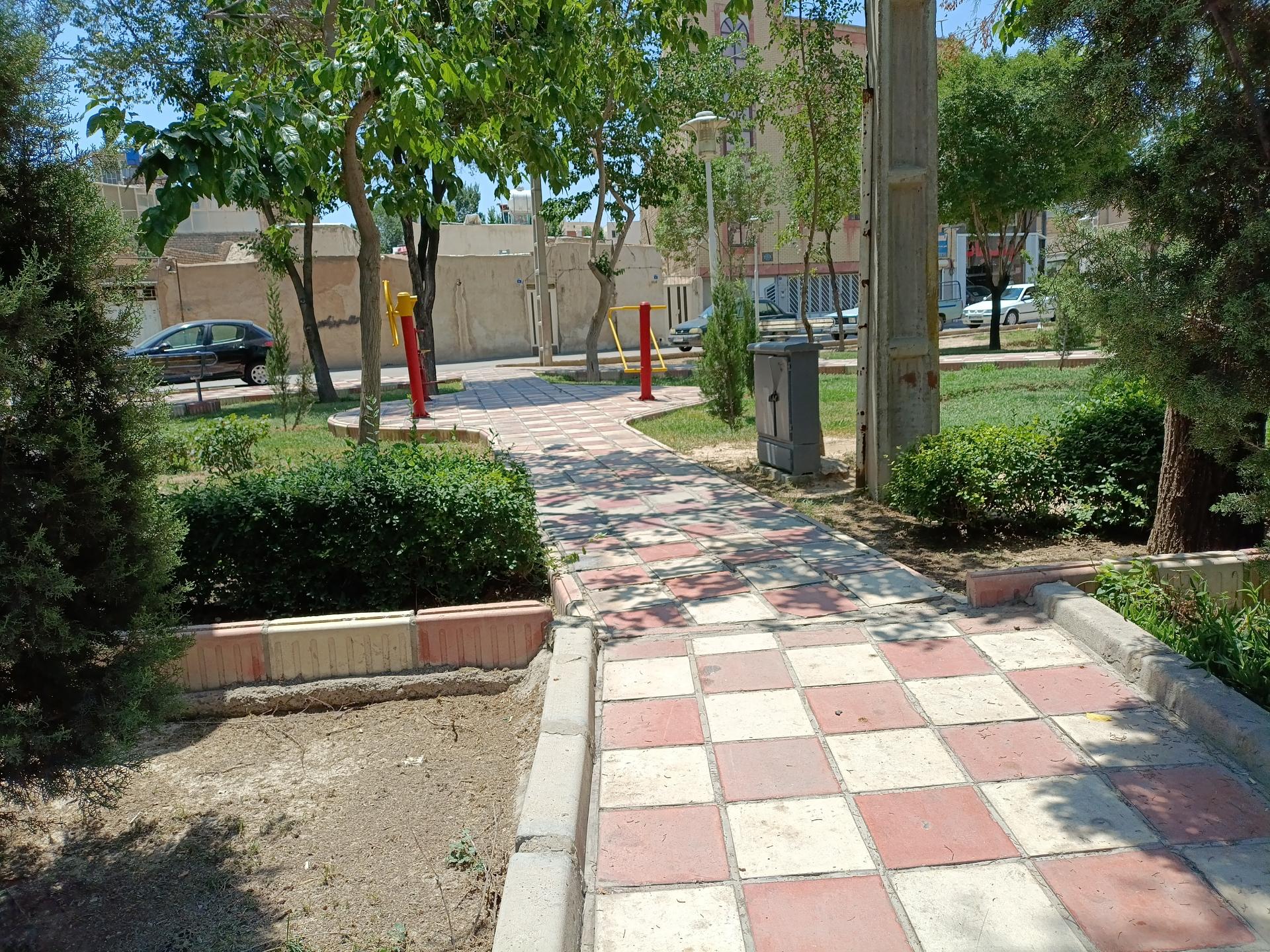 بوستان زیتون