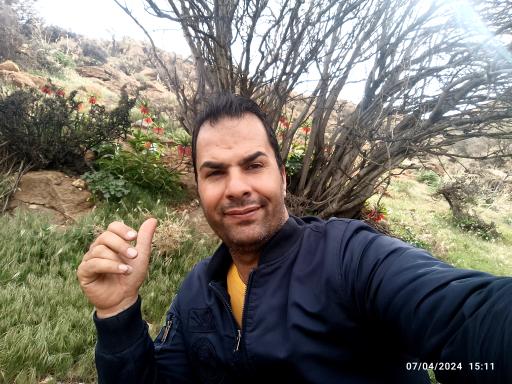 گردنه شول