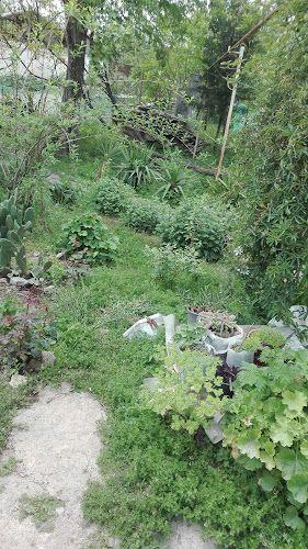 Village house safari