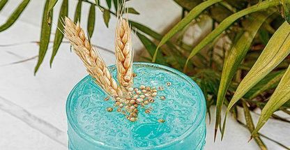 کافه رستوران سرای علا