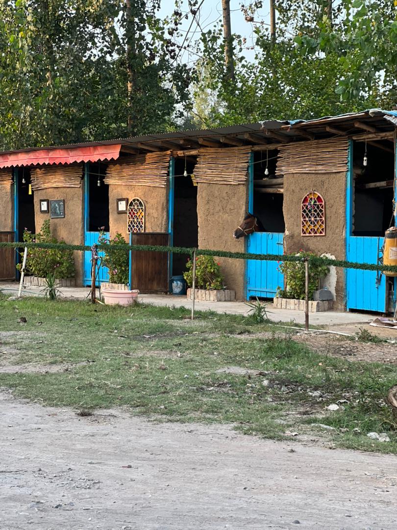 باشگاه سوارکاری فرشتگان نجیب