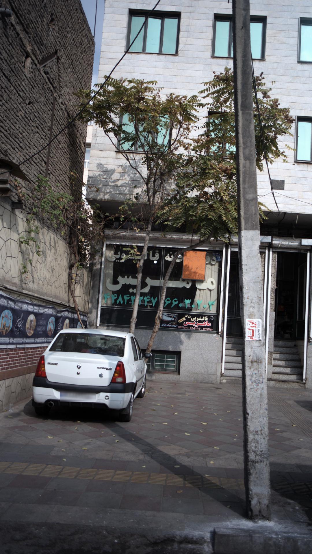 قالیشویی ماهریس