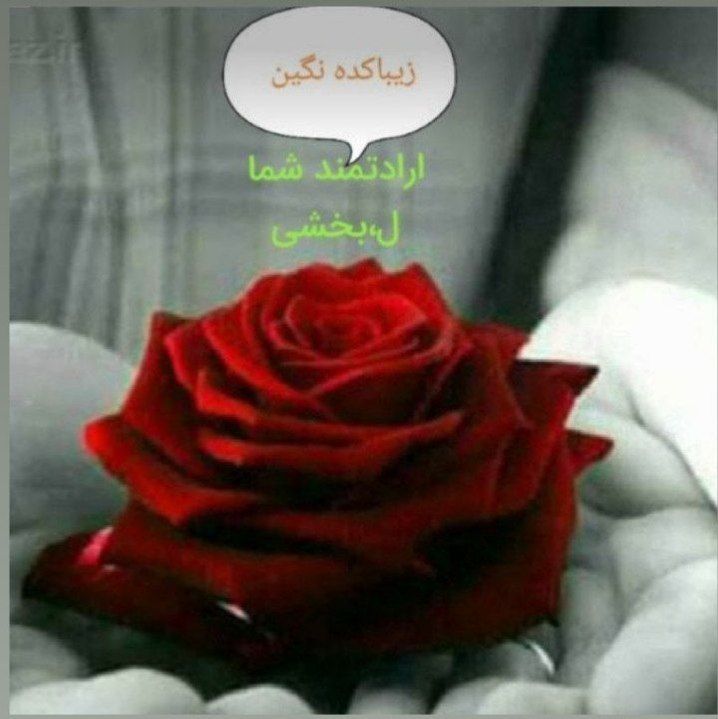 سالن زیبایی نگین مریانج