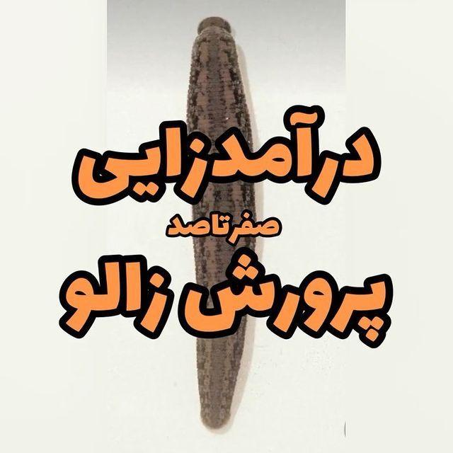 آموزشگاه کشاورزی و طب آتی نگر