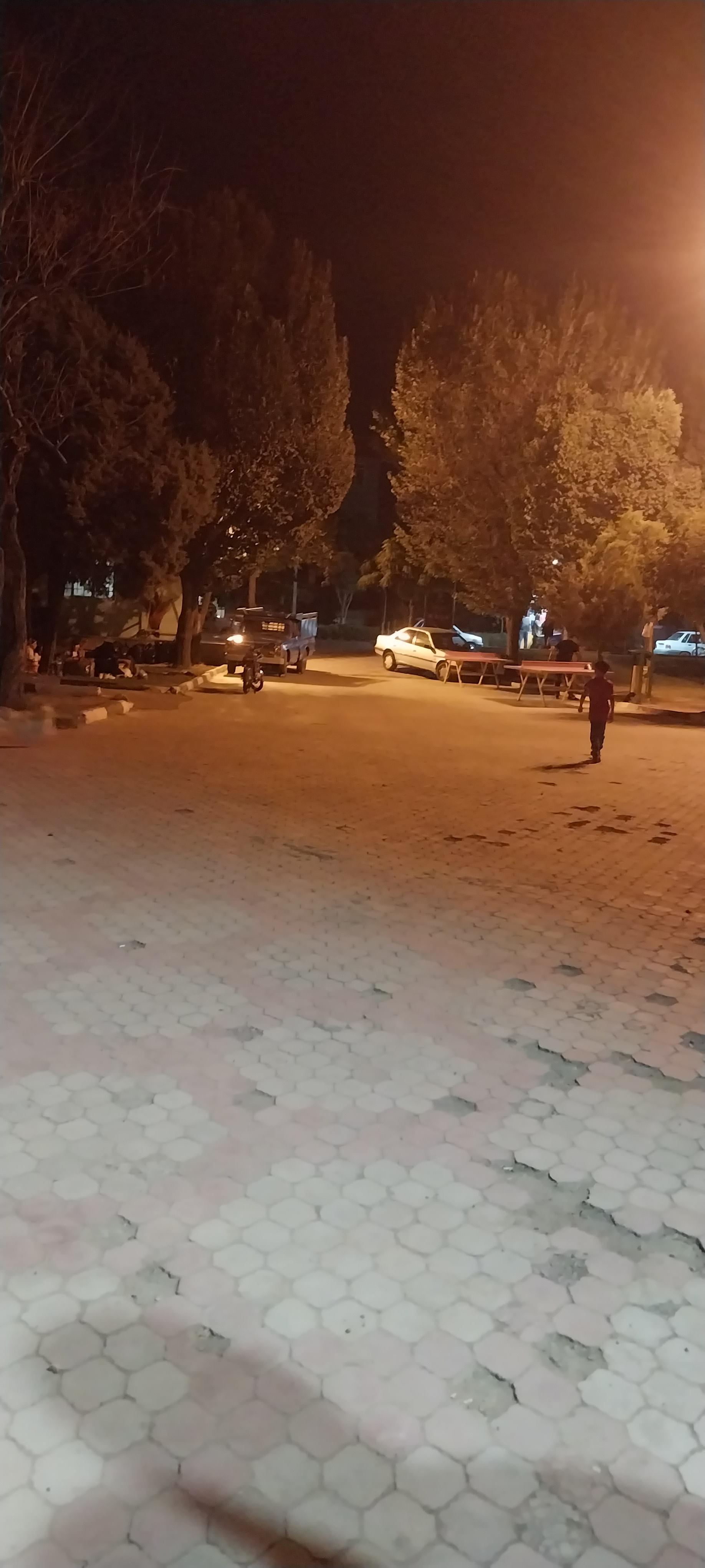 بوستان دانشجو