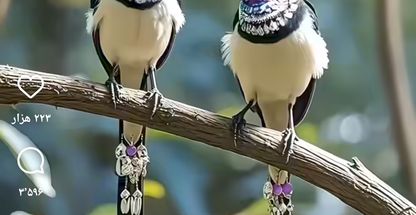 بارفروشی میوه حبابی