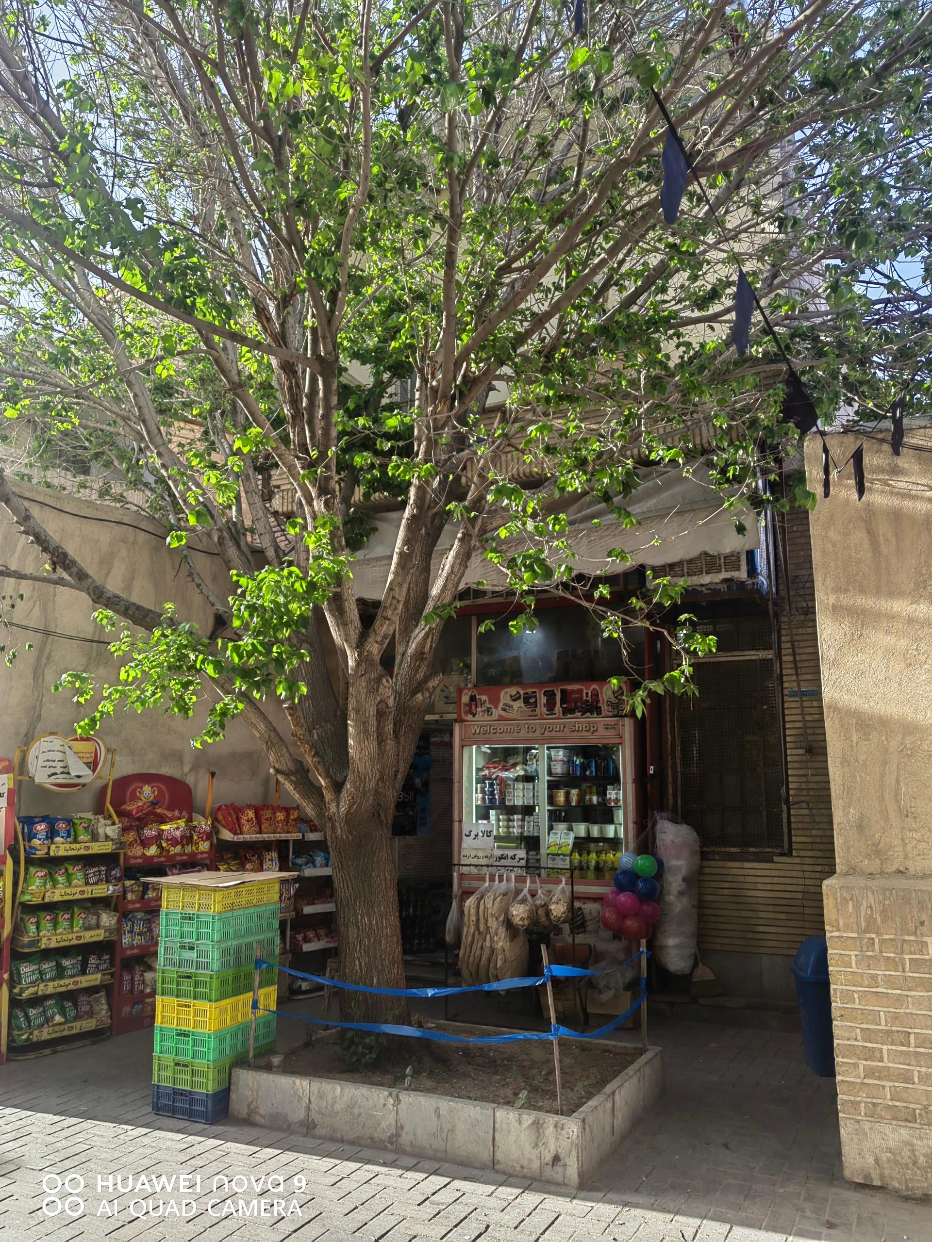 سوپرمارکت موسوی
