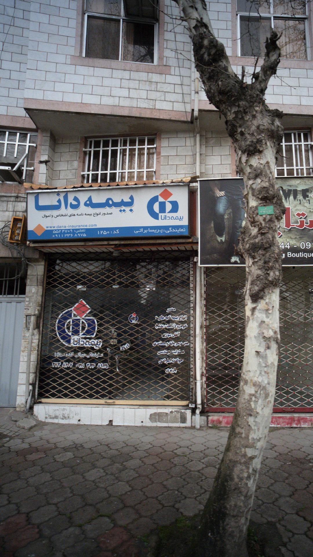 بیمه دانا